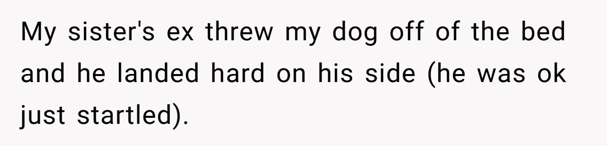 My sister's ex threw my dog off of the bed and he landed hard on his side (he was ok just startled).