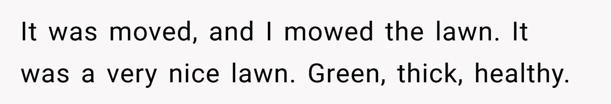 It was moved, and I mowed the lawn. It was a very nice lawn. Green, thick, healthy.