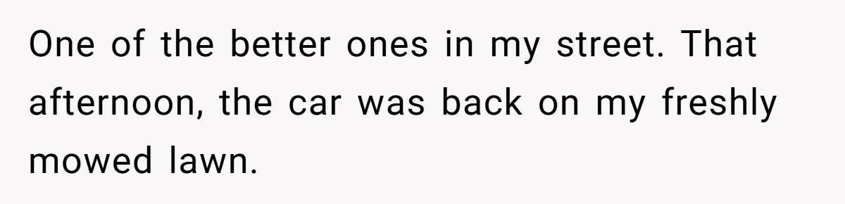 One of the better ones in my street. That afternoon, the car was back on my freshly mowed lawn.