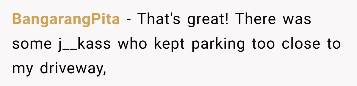 BangarangPita − That's great! There was some j__kass who kept parking too close to my driveway,