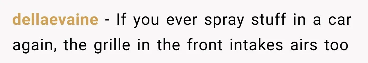 dellaevaine − If you ever spray stuff in a car again, the grille in the front intakes airs too