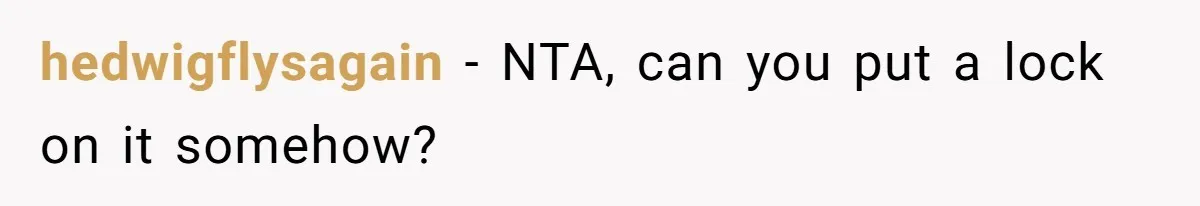 hedwigflysagain − NTA, can you put a lock on it somehow?