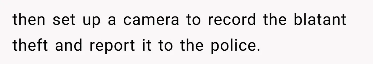 then set up a camera to record the blatant theft and report it to the police.