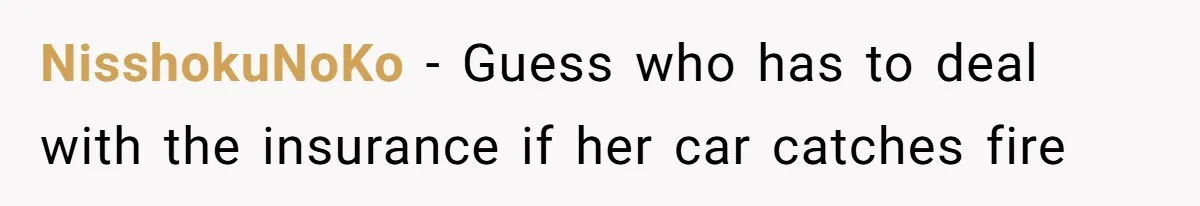 NisshokuNoKo − Guess who has to deal with the insurance if her car catches fire