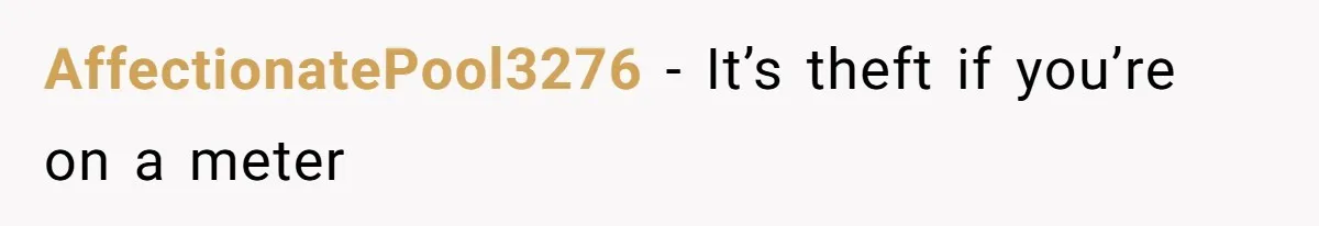 AffectionatePool3276 − It’s theft if you’re on a meter