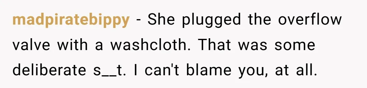 How a "Relaxing Bath" Turned Into a Waterlogged Disaster for This Heartbroken Couple madpiratebippy − She plugged the overflow valve with a washcloth. That was some deliberate s__t. I can't blame you, at all.