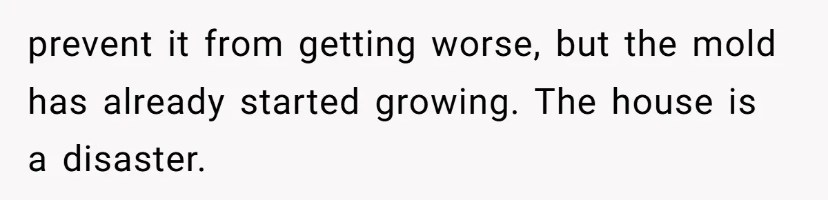 How a "Relaxing Bath" Turned Into a Waterlogged Disaster for This Heartbroken Couple prevent it from getting worse, but the mold has already started growing. The house is a disaster.