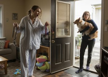 Sister Refuses To Respect Boundaries And Keeps Taking The Dog, Owner Finally Loses His Patience