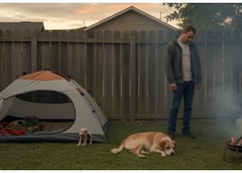 Man Plans Peaceful Last Day For Dog, Neighbor’s Fire Destroys It Man Plans Peaceful Last Day For Dog, Neighbor’s Fire Destroys It
