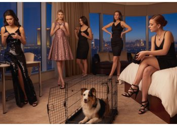 Bridesmaid Wants To Bring 50lb Dog To Vegas Party, Maid Of Honor Says No