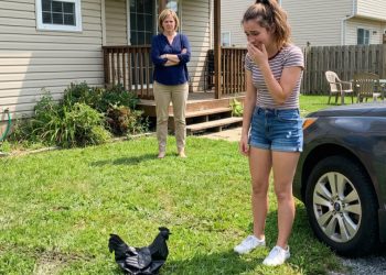 18-Year-Old Accused of Disrespect After Accidentally Destroying a $150 Lawn Statue