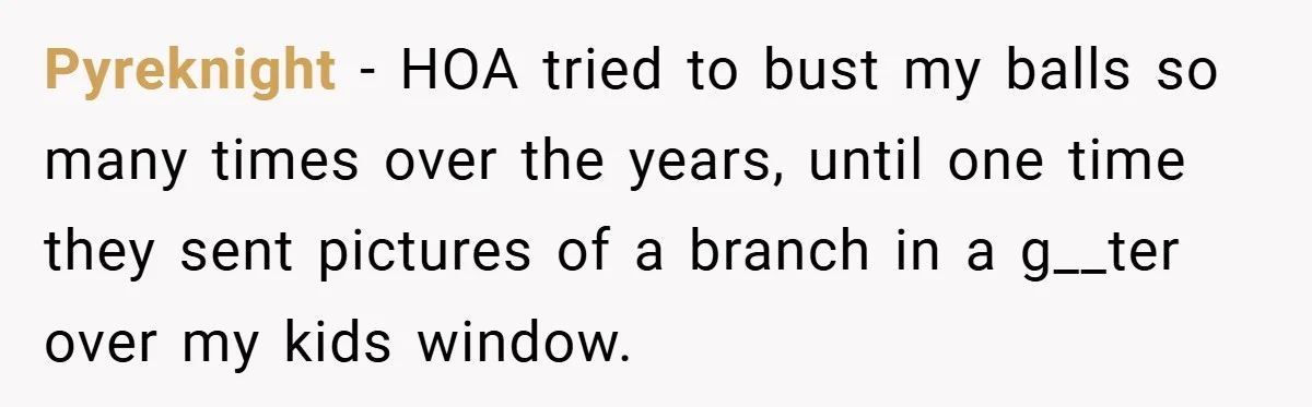 Pyreknight − HOA tried to bust my balls so many times over the years, until one time they sent pictures of a branch in a g__ter over my kids window.