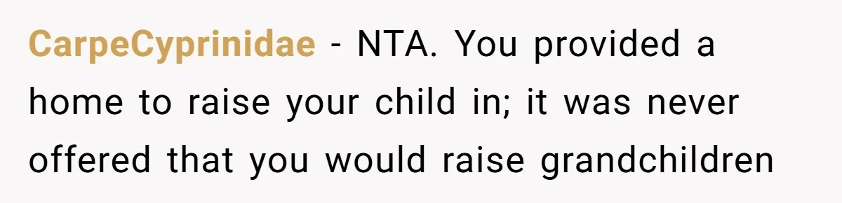 CarpeCyprinidae − NTA. You provided a home to raise your child in; it was never offered that you would raise grandchildren