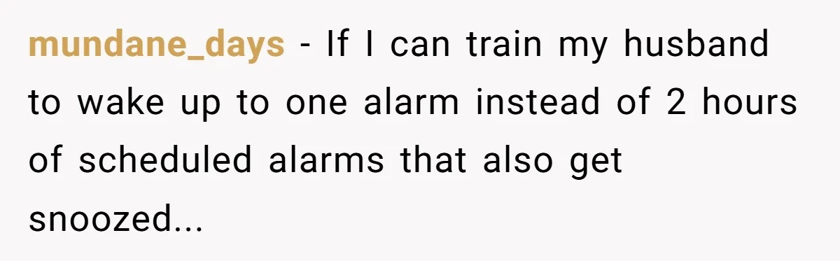 mundane_days − If I can train my husband to wake up to one alarm instead of 2 hours of scheduled alarms that also get snoozed...