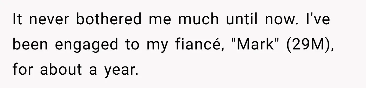 It never bothered me much until now. I've been engaged to my fiancé, "Mark" (29M), for about a year.