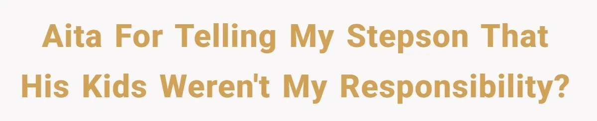 AITA for telling my stepson that his kids weren't my responsibility?