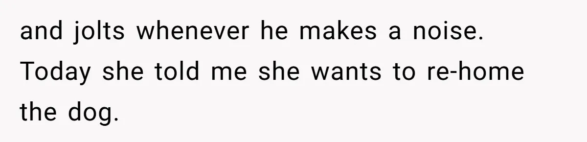 and jolts whenever he makes a noise. Today she told me she wants to re-home the dog.