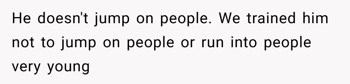 He doesn't jump on people. We trained him not to jump on people or run into people very young