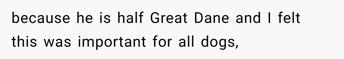 because he is half Great Dane and I felt this was important for all dogs,
