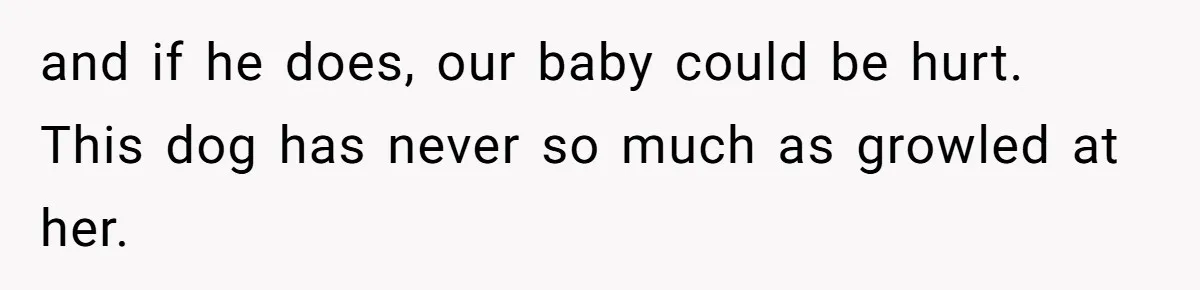 and if he does, our baby could be hurt. This dog has never so much as growled at her.