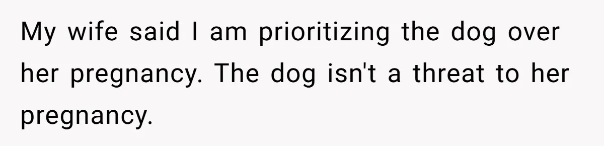 My wife said I am prioritizing the dog over her pregnancy. The dog isn't a threat to her pregnancy.