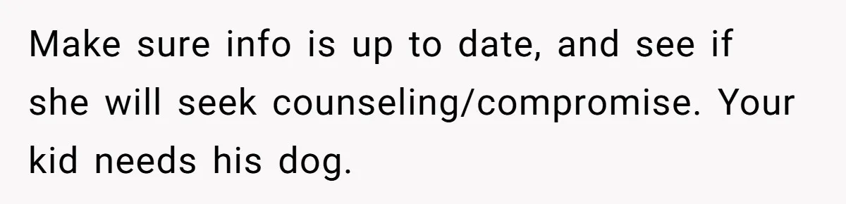 Make sure info is up to date, and see if she will seek counseling/compromise. Your kid needs his dog.