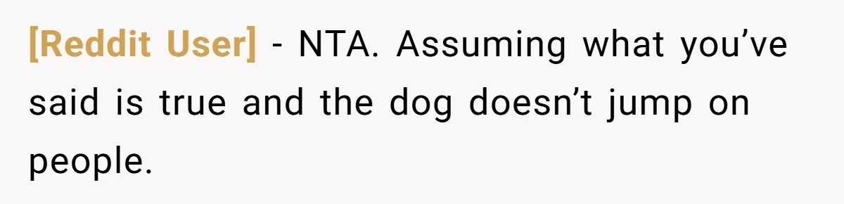 [Reddit User] − NTA. Assuming what you’ve said is true and the dog doesn’t jump on people.