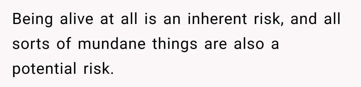 Being alive at all is an inherent risk, and all sorts of mundane things are also a potential risk.