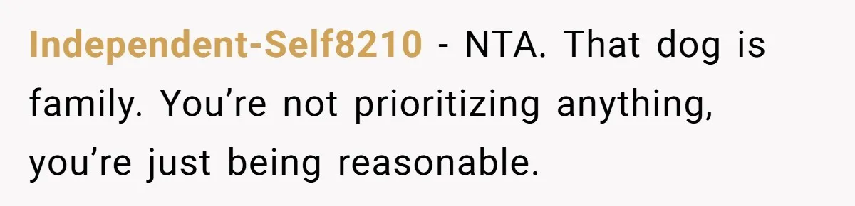 Independent-Self8210 − NTA. That dog is family. You’re not prioritizing anything, you’re just being reasonable.