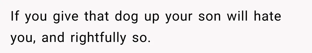 If you give that dog up your son will hate you, and rightfully so.