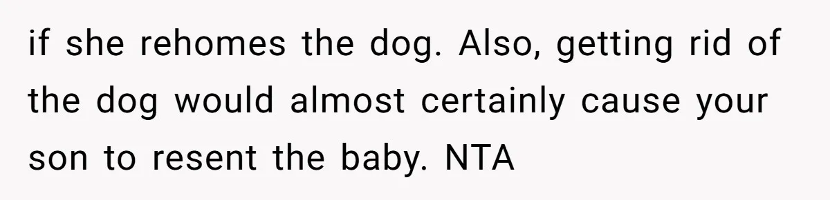if she rehomes the dog. Also, getting rid of the dog would almost certainly cause your son to resent the baby. NTA