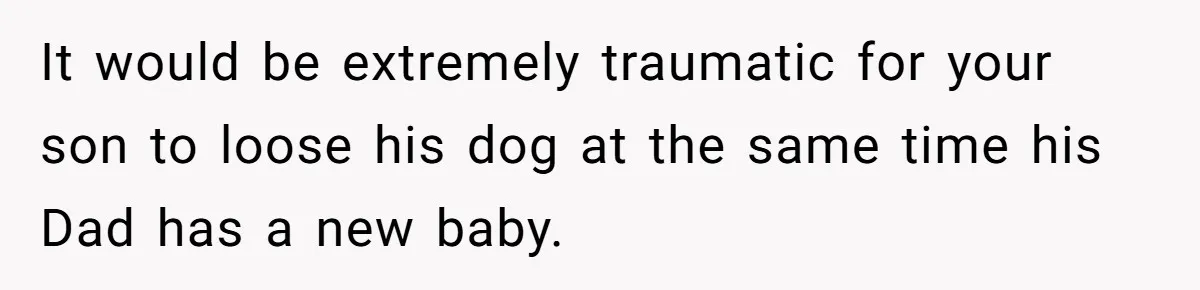 It would be extremely traumatic for your son to loose his dog at the same time his Dad has a new baby.