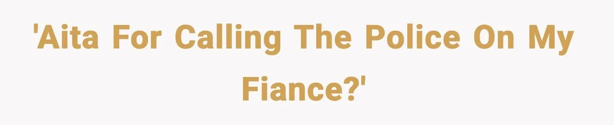 'AITA for calling the police on my fiance?'