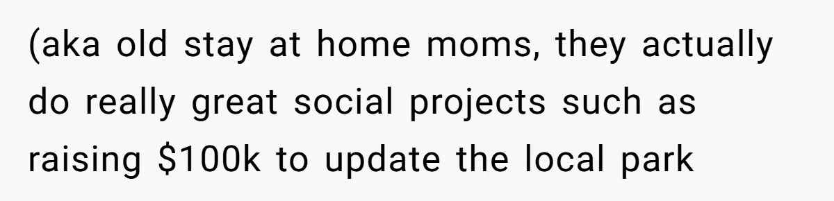 (aka old stay at home moms, they actually do really great social projects such as raising $100k to update the local park