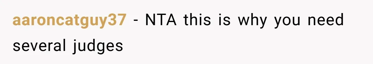 aaroncatguy37 − NTA this is why you need several judges