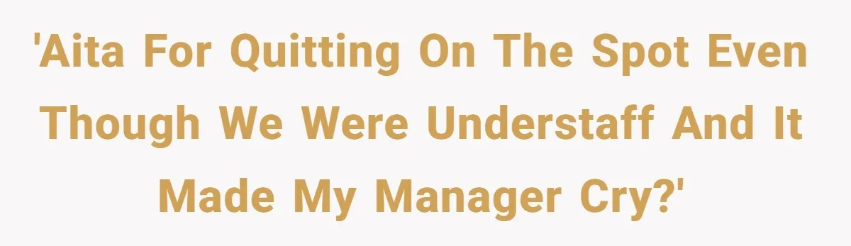 Employee Quits After Manager Gives Stranger Her Schedule, Manager Breaks Down 'AITA For quitting on the spot even though we were understaff and it made my manager cry?'