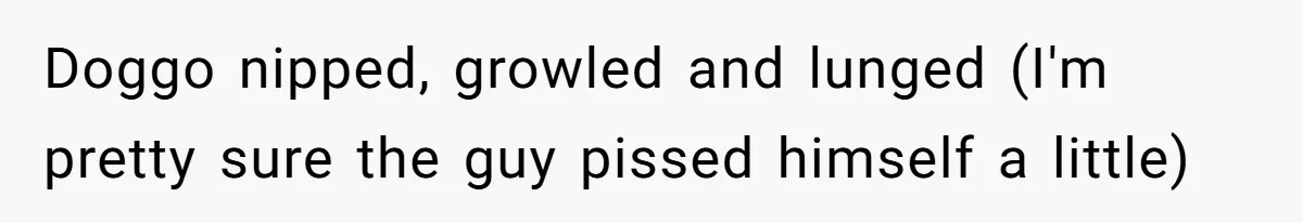 Employee Quits After Manager Gives Stranger Her Schedule, Manager Breaks Down Doggo nipped, growled and lunged (I'm pretty sure the guy pissed himself a little)