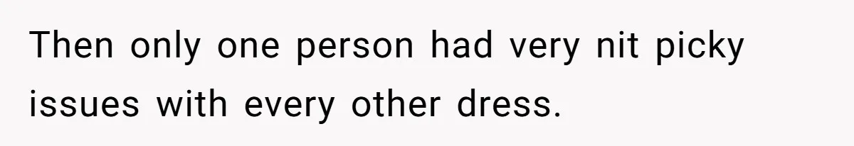 Then only one person had very nit picky issues with every other dress.