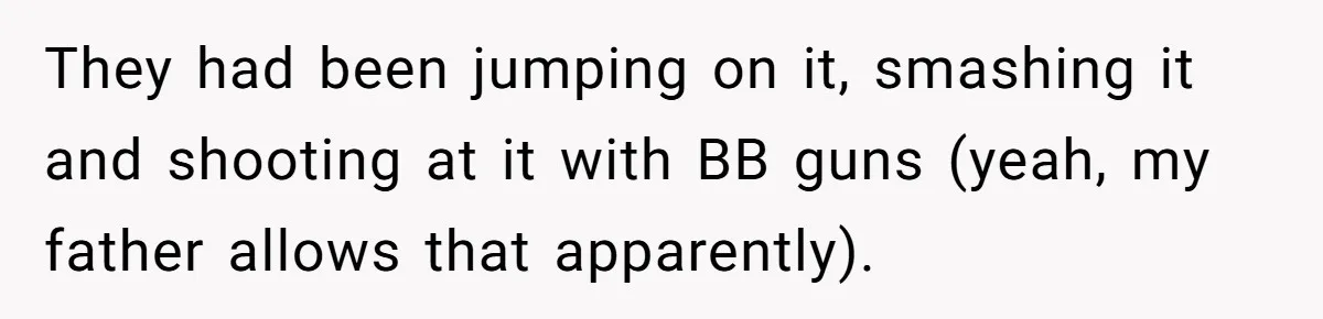 They had been jumping on it, smashing it and shooting at it with BB guns (yeah, my father allows that apparently).