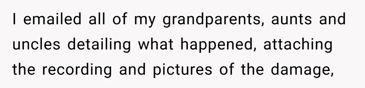 I emailed all of my grandparents, aunts and uncles detailing what happened, attaching the recording and pictures of the damage,