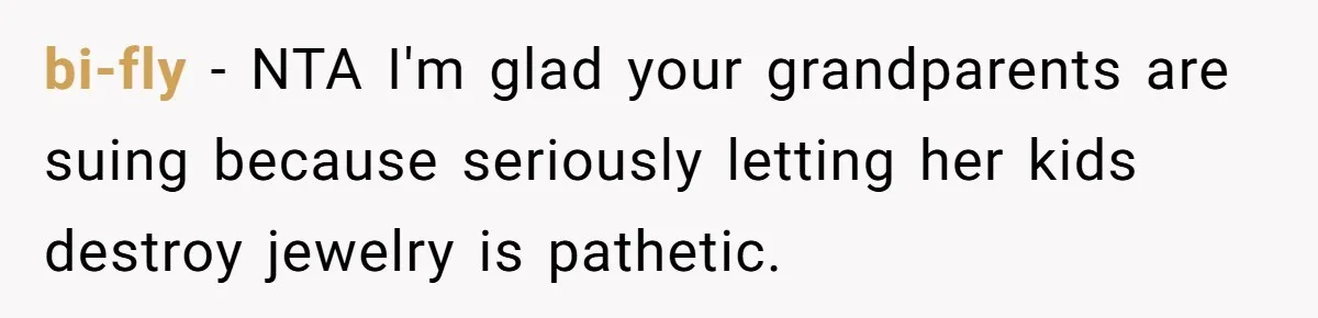 bi-fly − NTA I'm glad your grandparents are suing because seriously letting her kids destroy jewelry is pathetic.