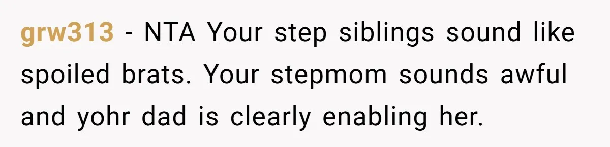 grw313 − NTA Your step siblings sound like spoiled brats. Your stepmom sounds awful and yohr dad is clearly enabling her.