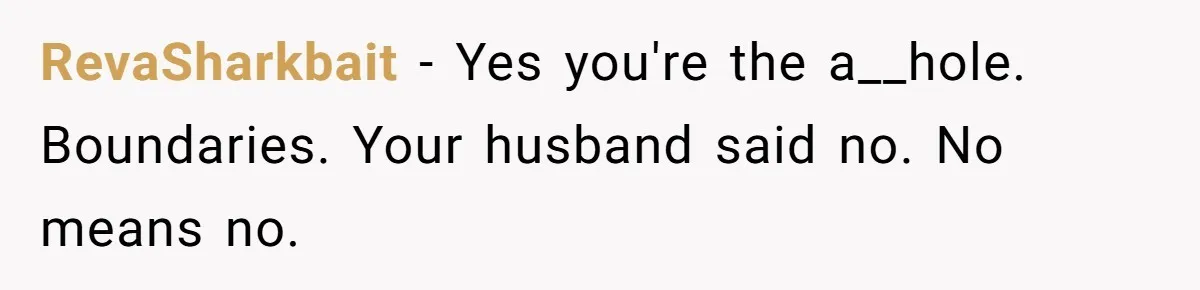 RevaSharkbait − Yes you're the a__hole. Boundaries. Your husband said no. No means no.