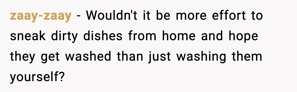 zaay-zaay - Wouldn't it be more effort to sneak dirty dishes from home and hope they get washed than just washing them yourself?