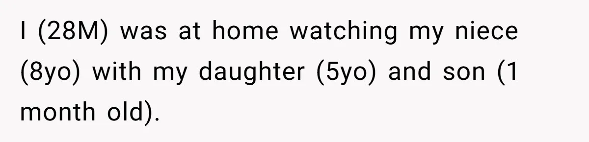 I (28M) was at home watching my niece (8yo) with my daughter (5yo) and son (1 month old).