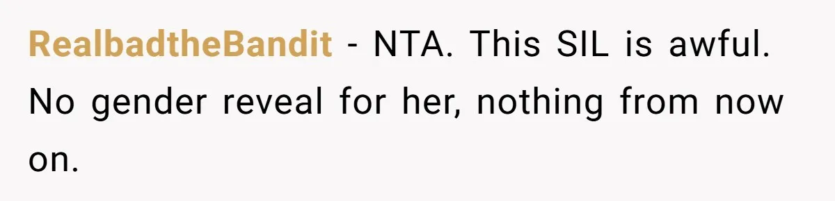 RealbadtheBandit − NTA. This SIL is awful. No gender reveal for her, nothing from now on.