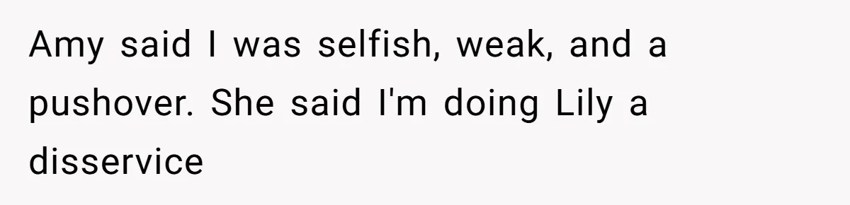 Amy said I was selfish, weak, and a pushover. She said I'm doing Lily a disservice