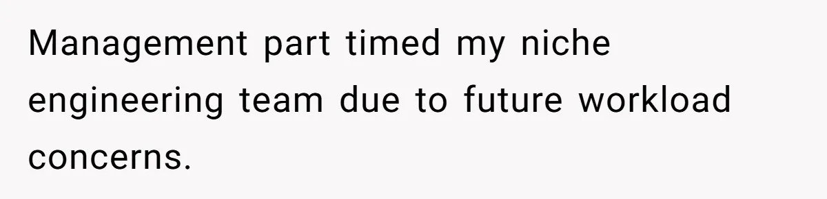 Management part timed my niche engineering team due to future workload concerns.