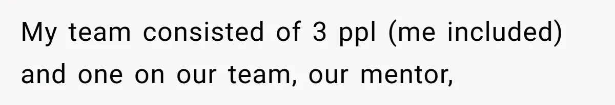 My team consisted of 3 ppl (me included) and one on our team, our mentor,