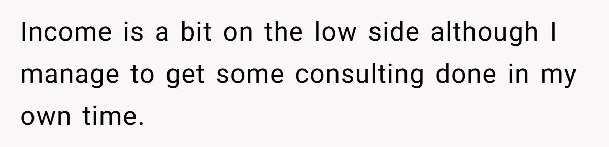 Income is a bit on the low side although I manage to get some consulting done in my own time.